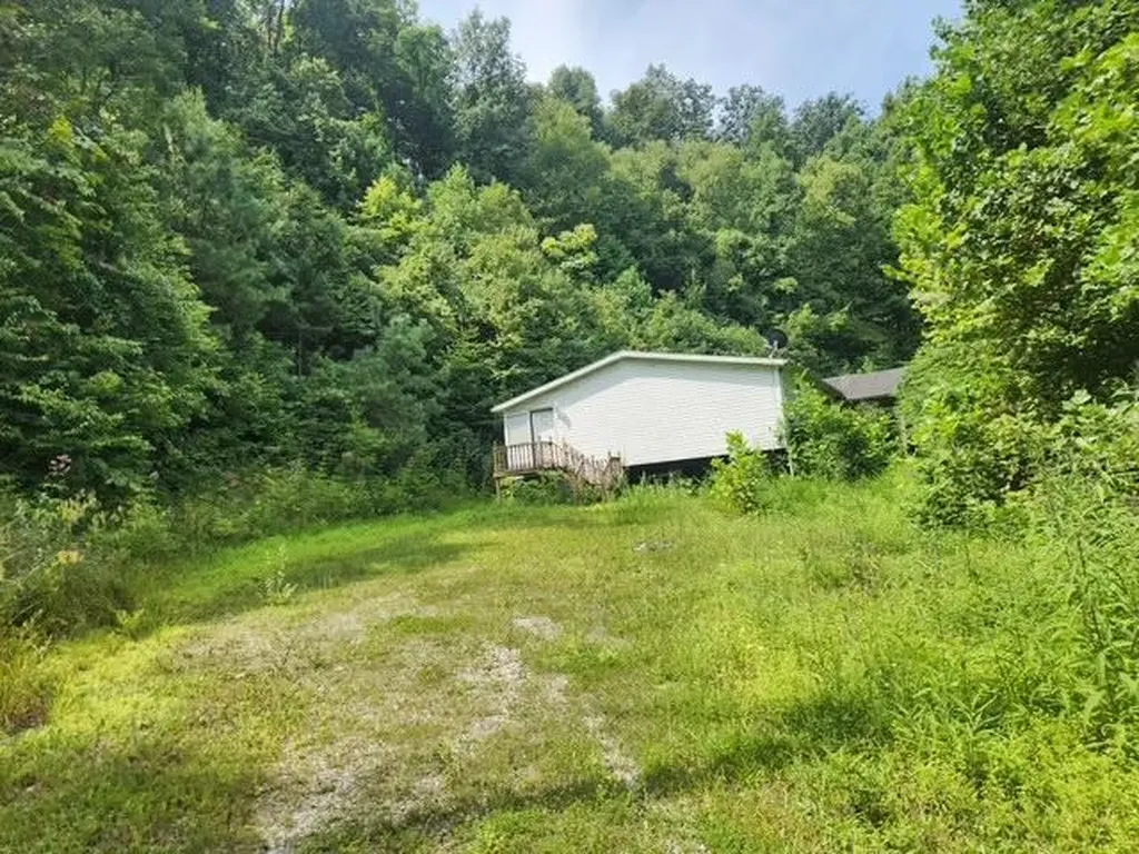 1144 Grassy Branch Road Essie KY 40827