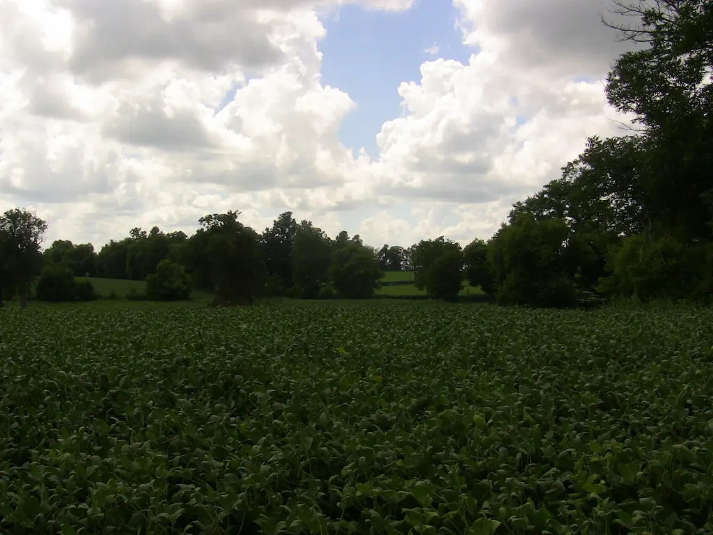 2750 Paynes Mill Road Versailles KY 40383
