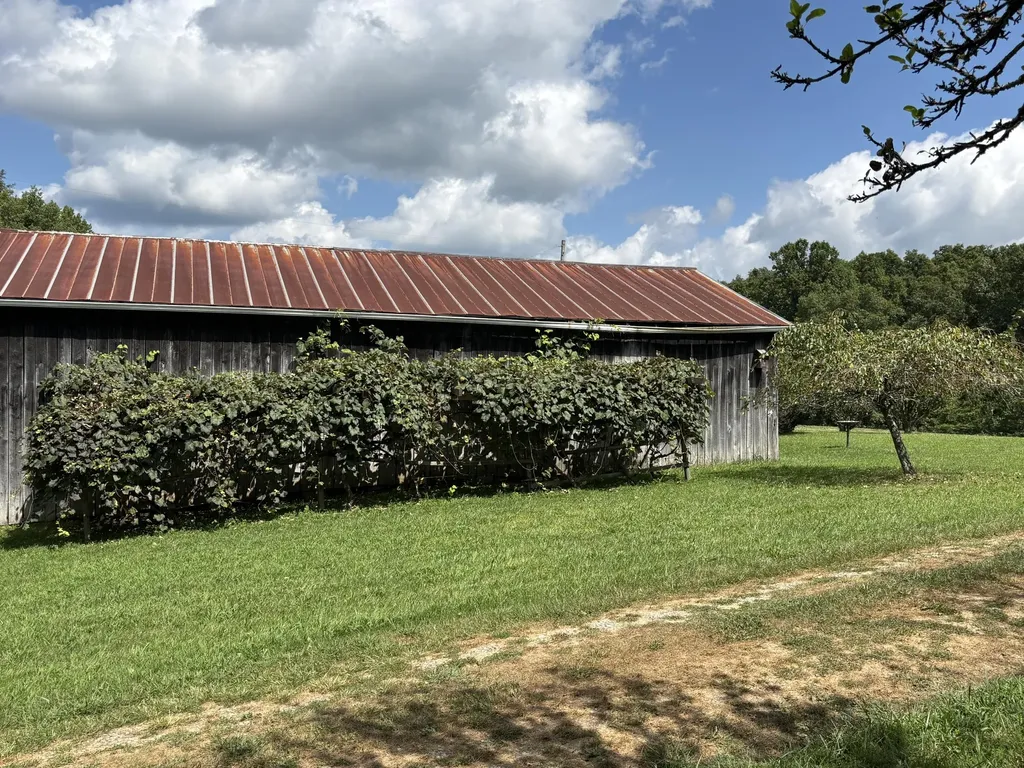 1195 Hoop Road Wellington KY 40387