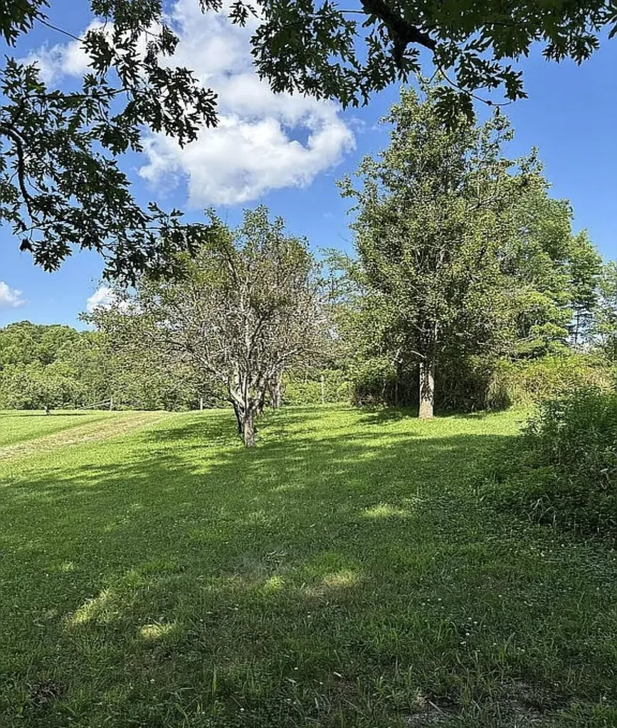 1195 Hoop Road Wellington KY 40387