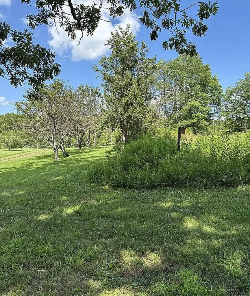 1195 Hoop Road Wellington KY 40387