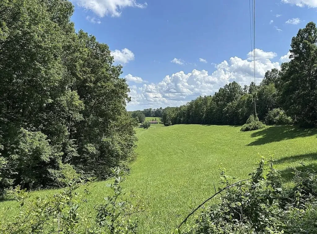 1195 Hoop Road Wellington KY 40387