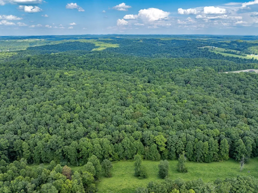 1195 Hoop Road Wellington KY 40387