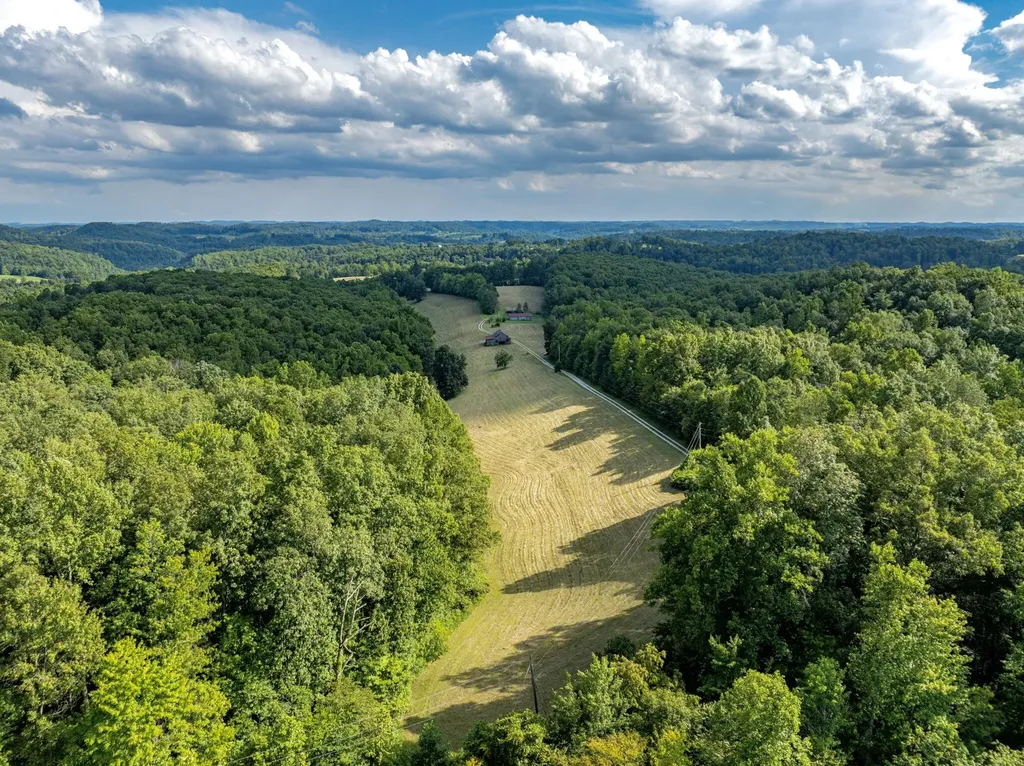 1195 Hoop Road Wellington KY 40387