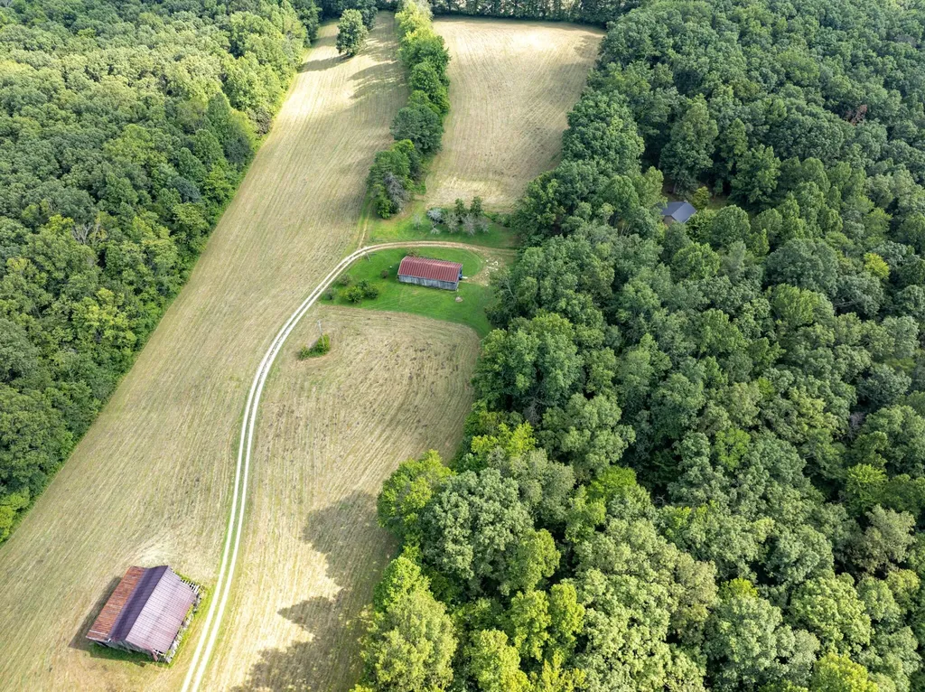1195 Hoop Road Wellington KY 40387