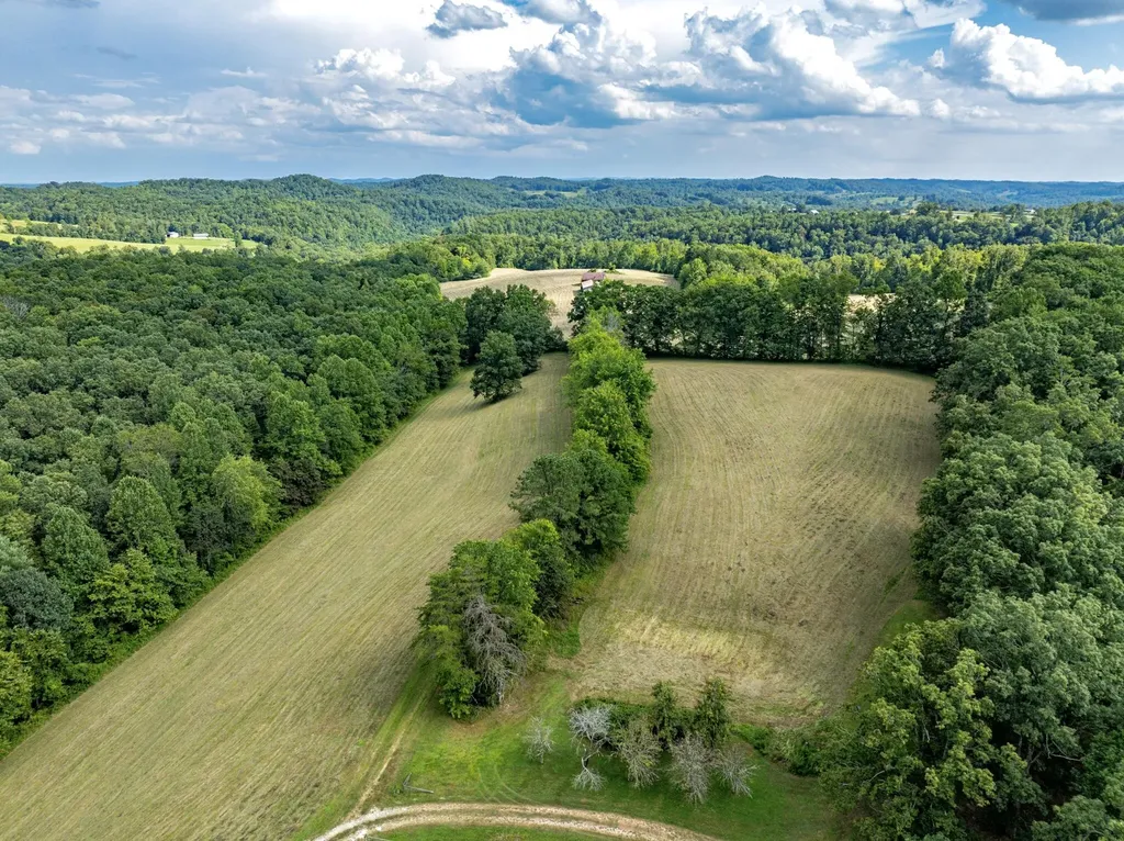 1195 Hoop Road Wellington KY 40387