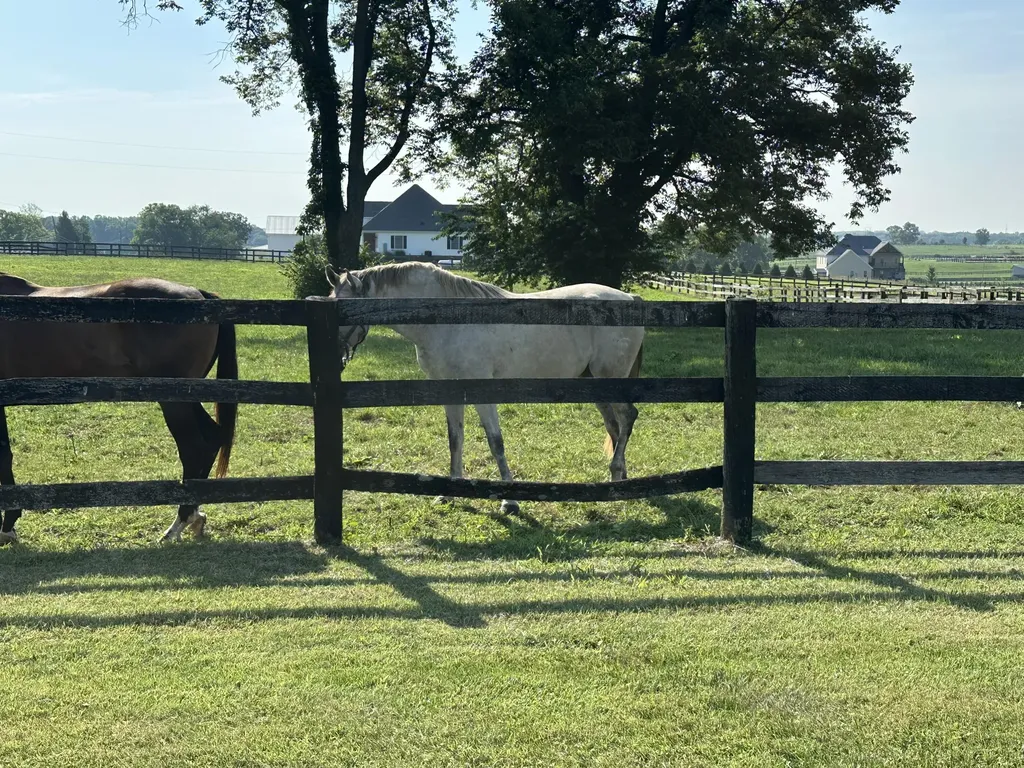 2120 Ironworks Road Georgetown KY 40324