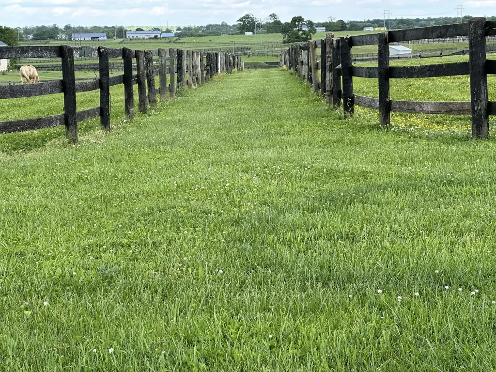 2120 Ironworks Road Georgetown KY 40324