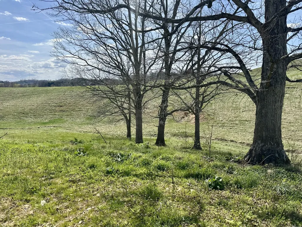 165 Pittsburg Landing London KY 40741