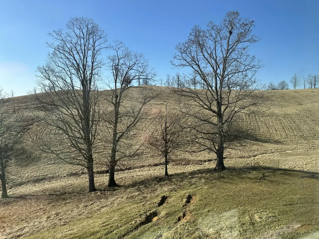 165 Pittsburg Landing London KY 40741