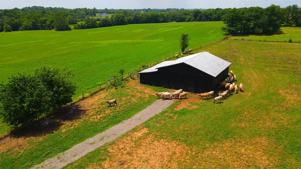 999 Silas Road Cynthiana KY 41031