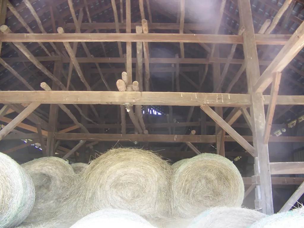 3921 Poplar Plains Road Flemingsburg KY 41041