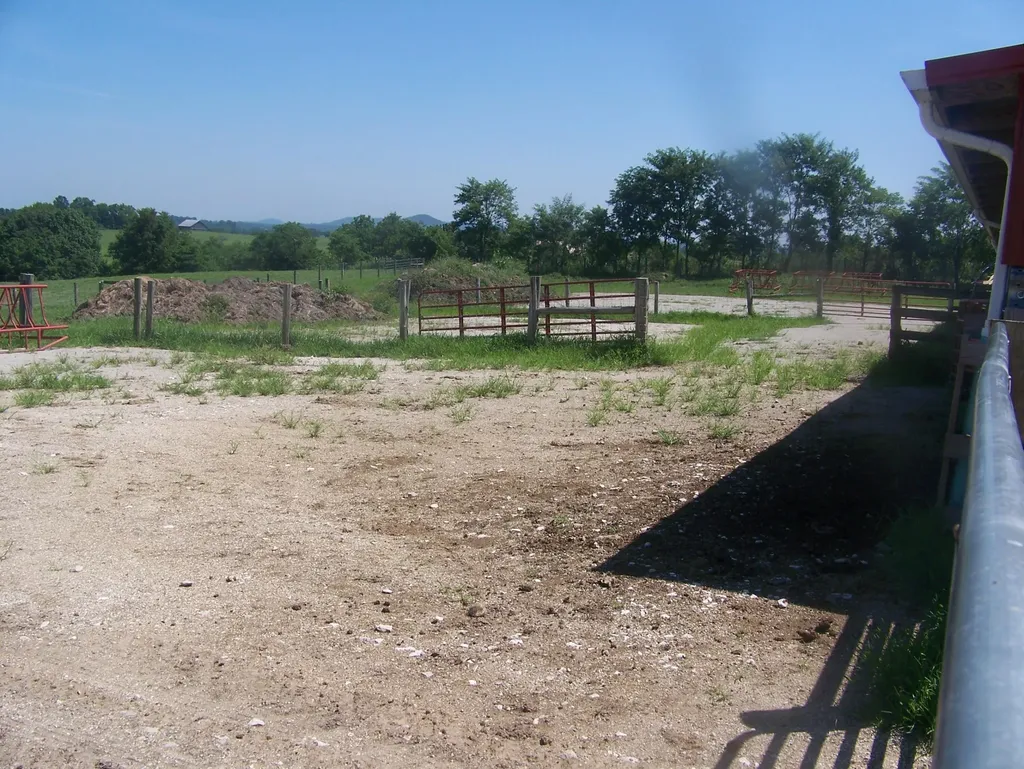 3921 Poplar Plains Road Flemingsburg KY 41041