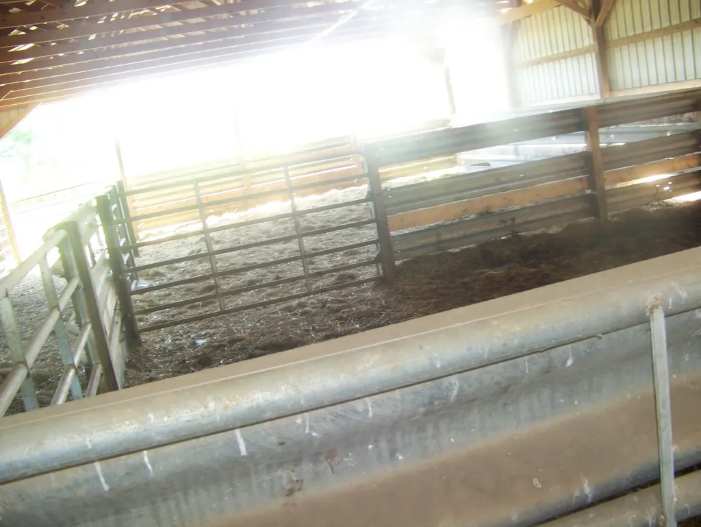 3921 Poplar Plains Road Flemingsburg KY 41041