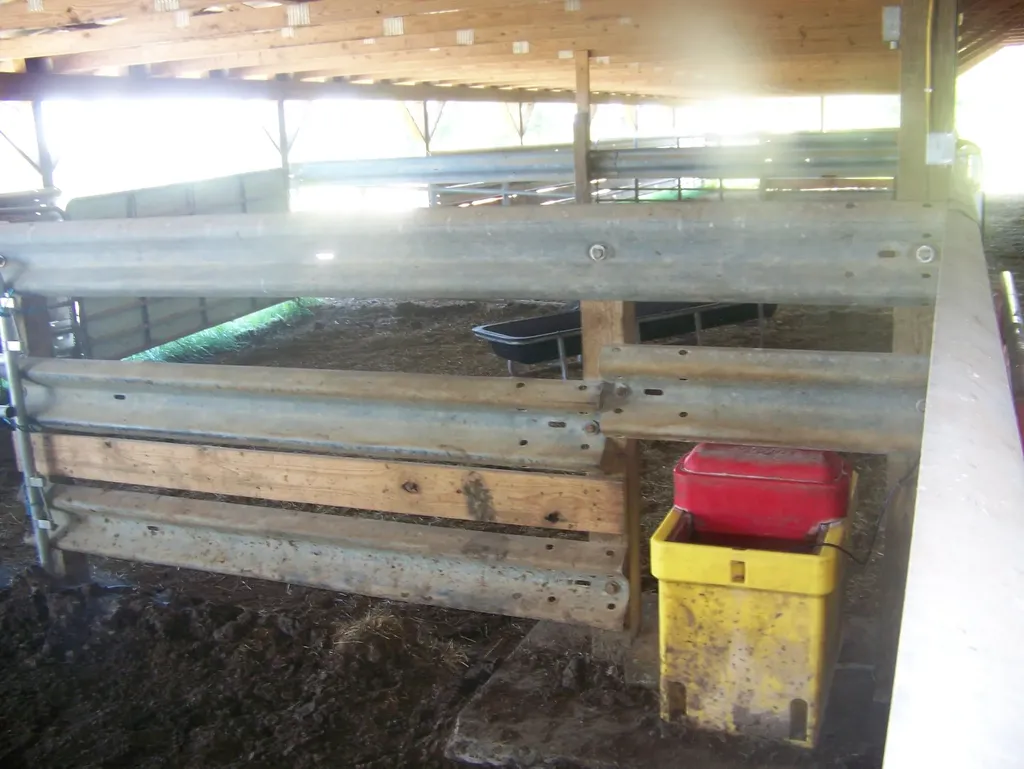 3921 Poplar Plains Road Flemingsburg KY 41041