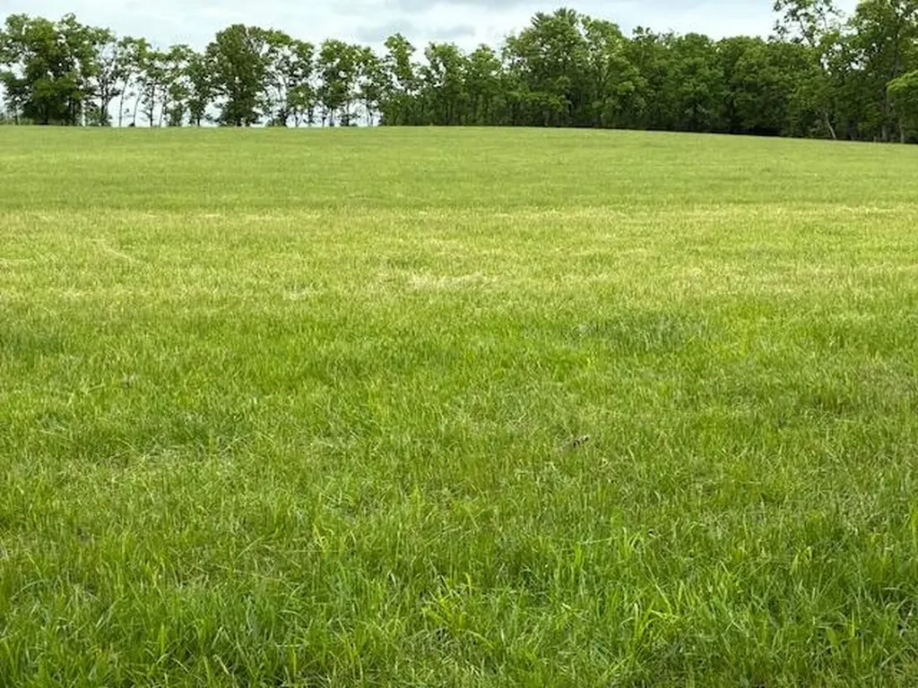 3669 Ironworks Road Georgetown KY 40324