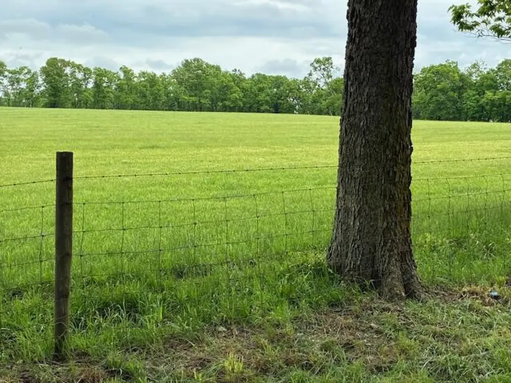 3669 Ironworks Road Georgetown KY 40324