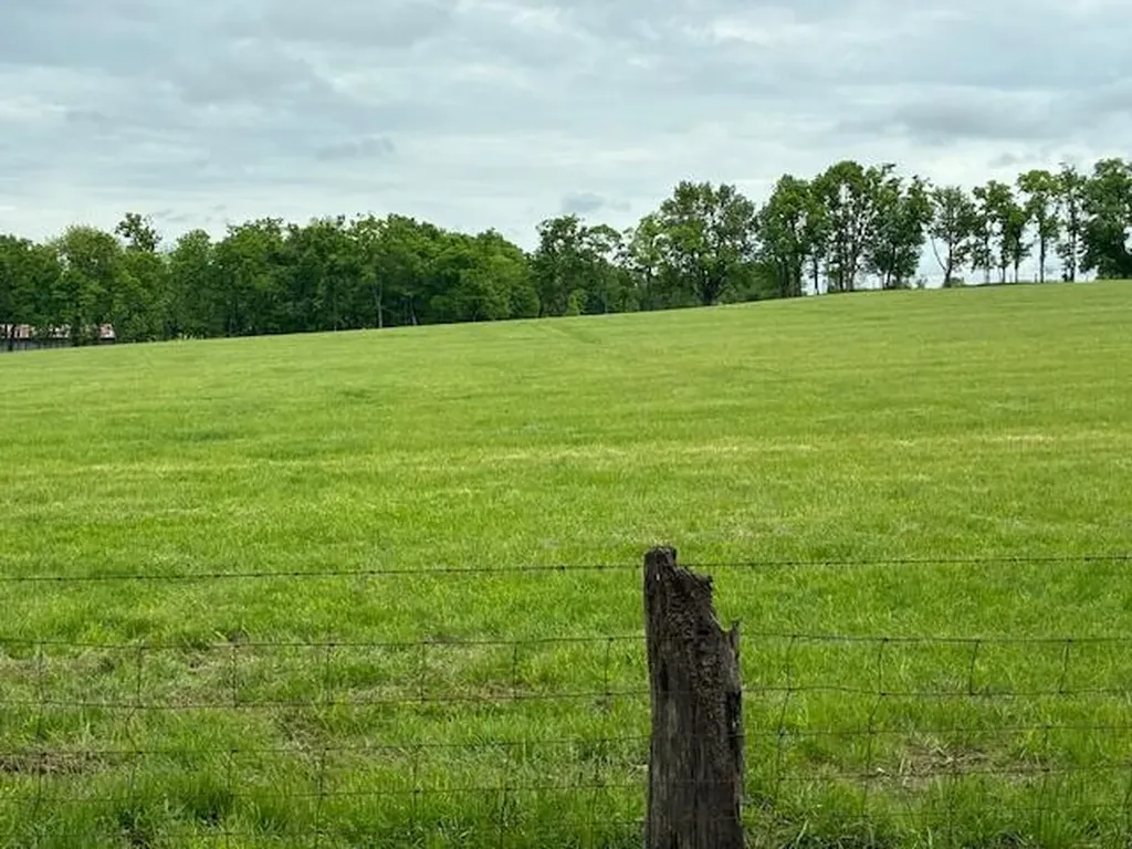 3669 Ironworks Road Georgetown KY 40324