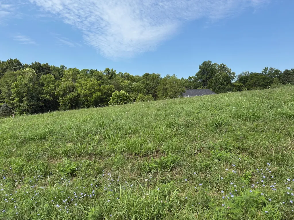 Lot 46 Griffin Avenue Stanford KY 40484