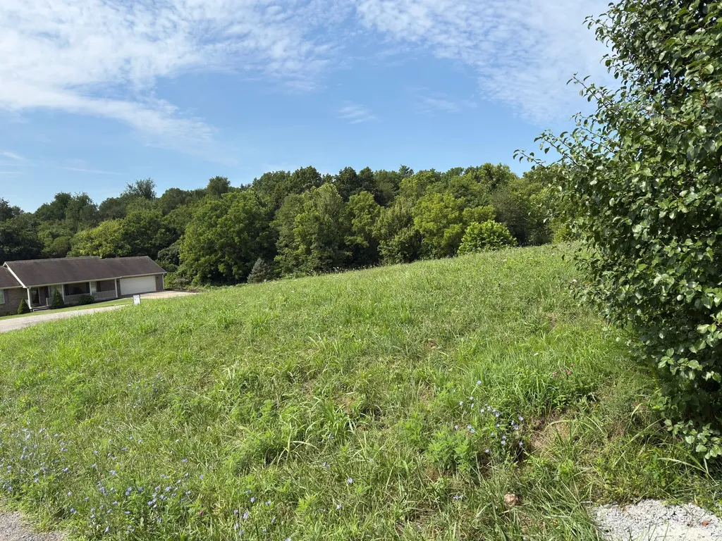 Lot 46 Griffin Avenue Stanford KY 40484