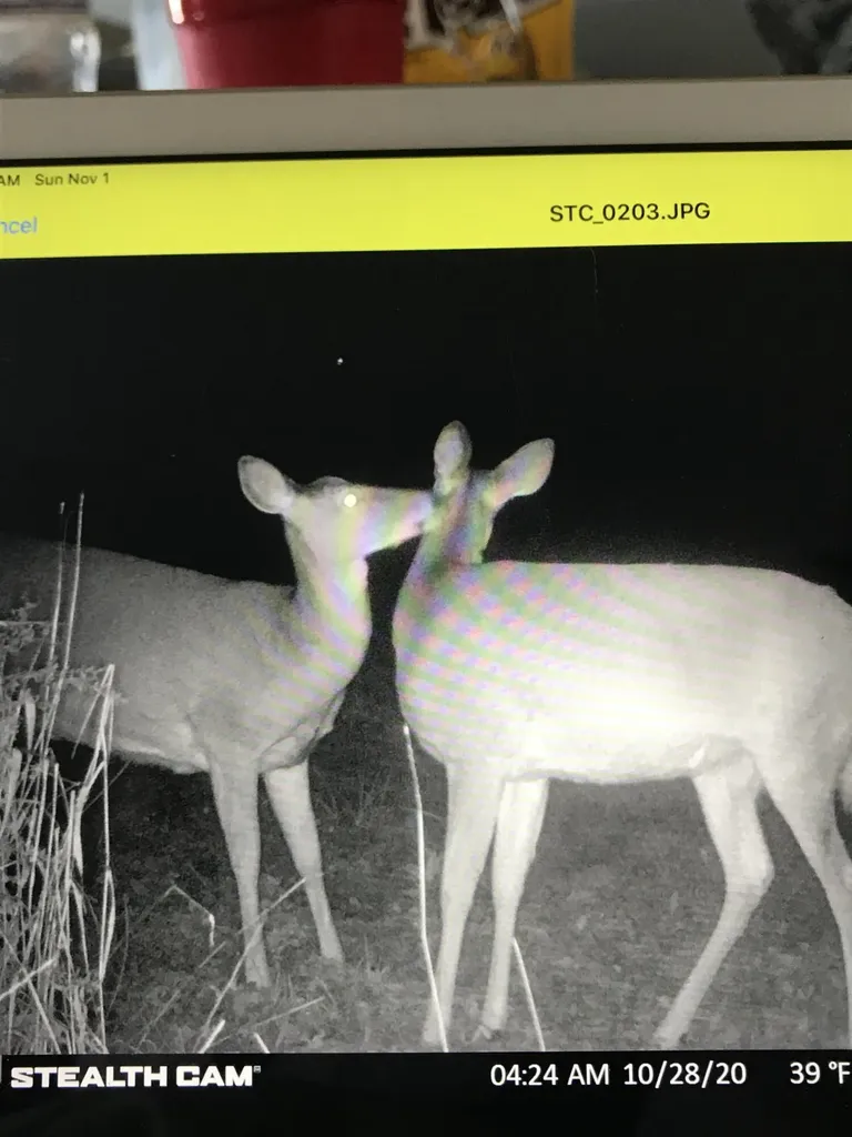 2B Turner Ridge Road Richmond KY 40475