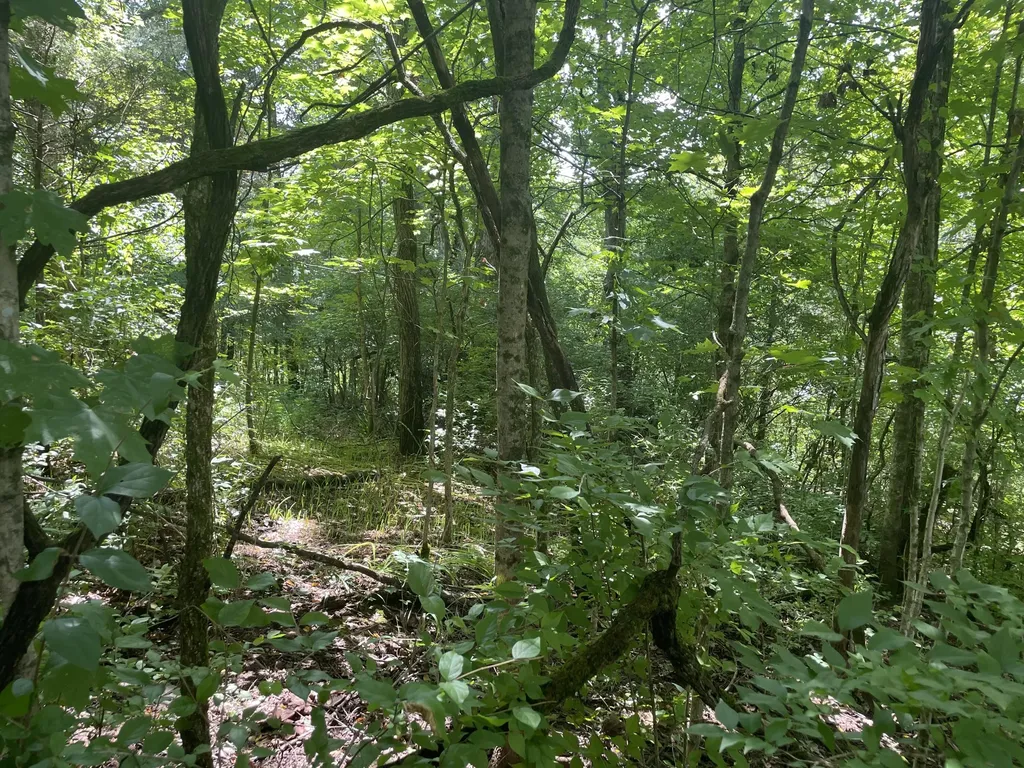 2750 Shadrick Ferry Road Frankfort KY 40601