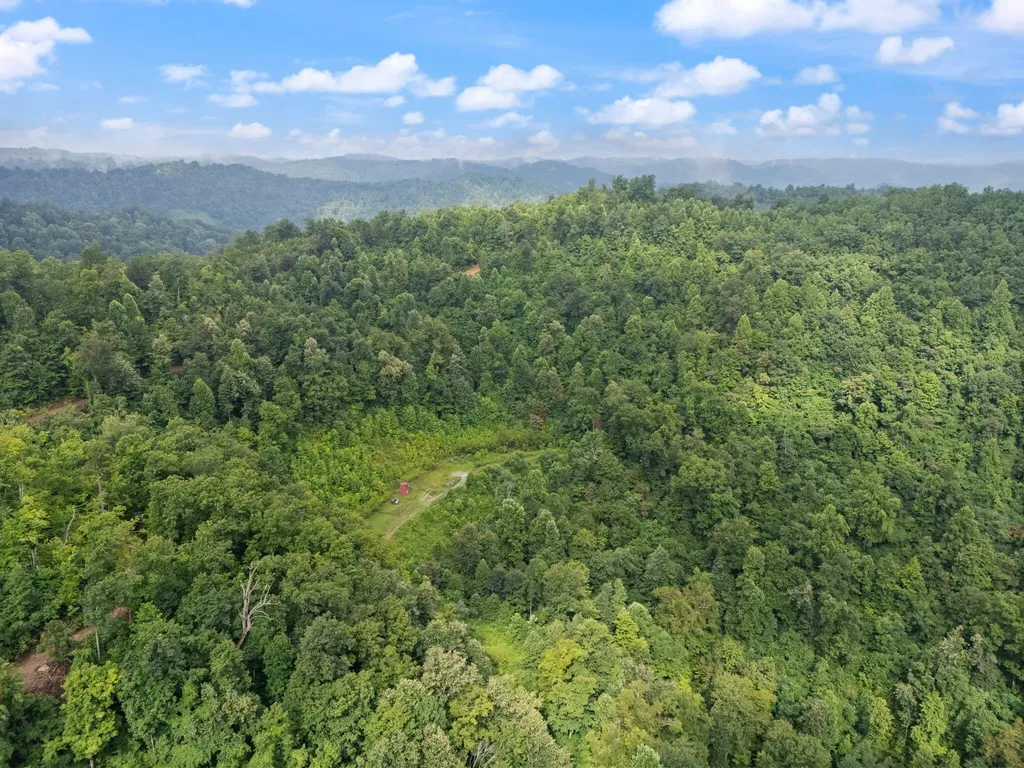 0 Hall Branch Road Topmost KY 41862