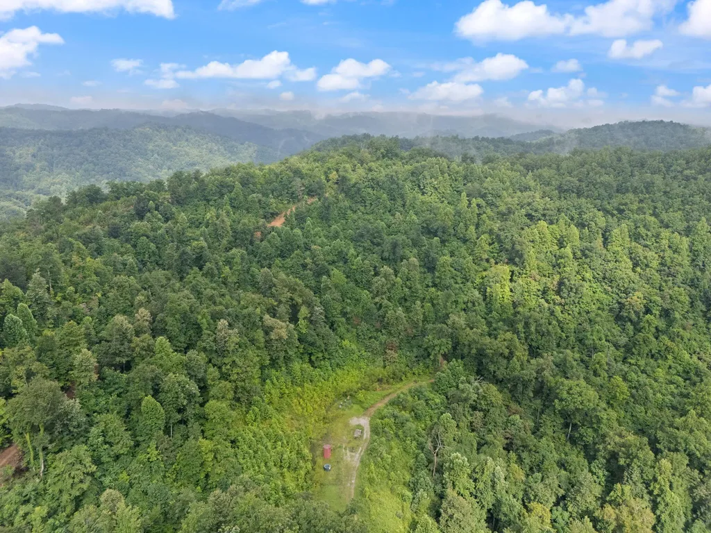 0 Hall Branch Road Topmost KY 41862