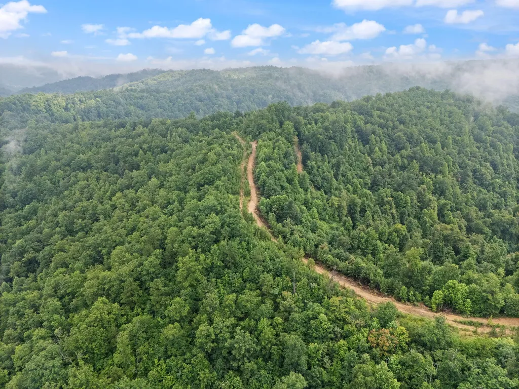 0 Hall Branch Road Topmost KY 41862