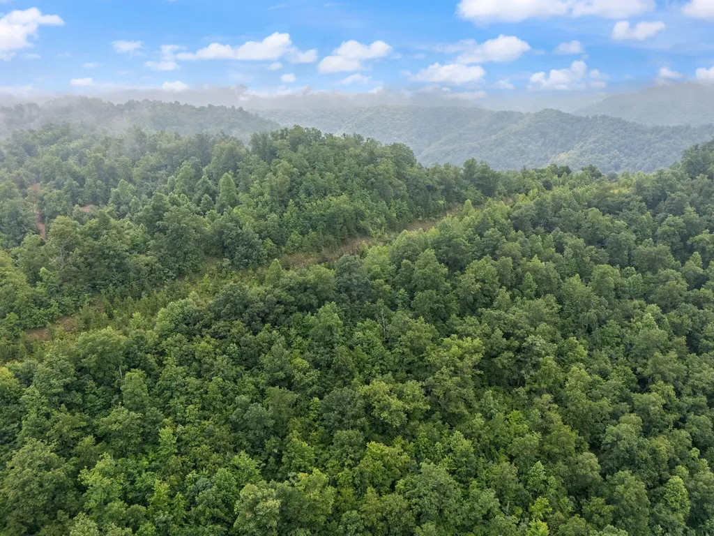 0 Hall Branch Road Topmost KY 41862