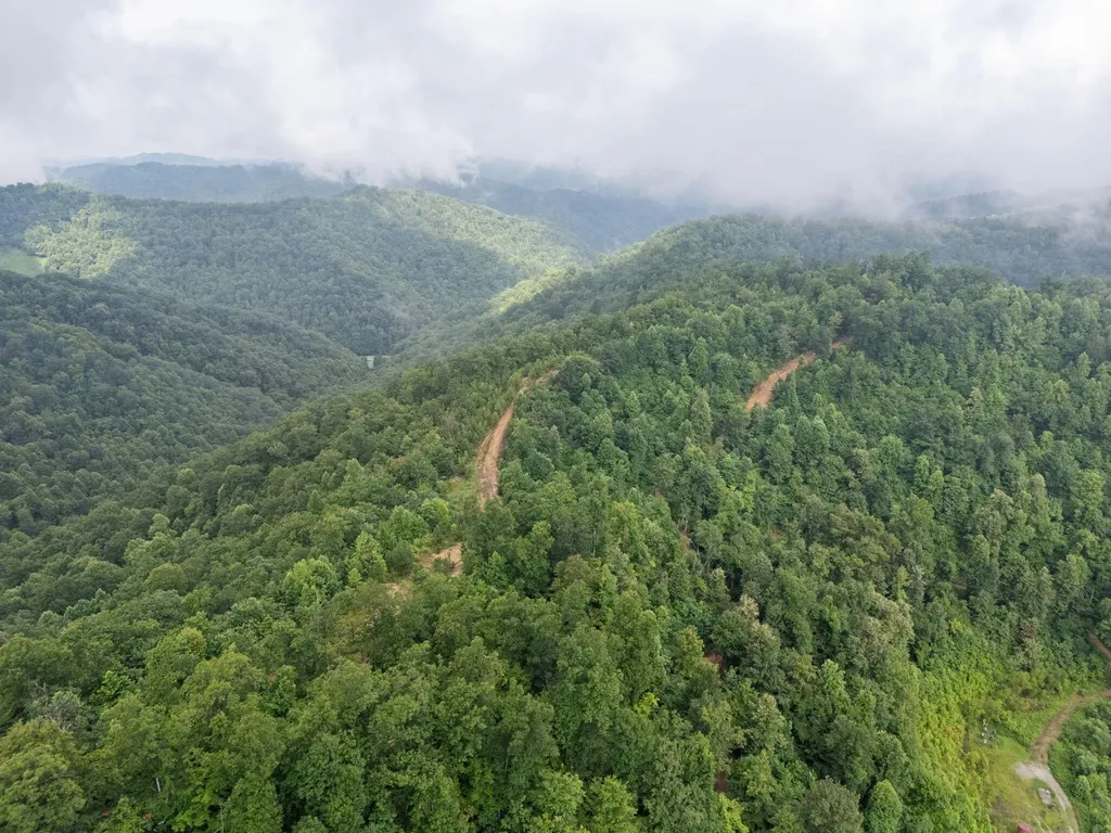 0 Hall Branch Road Topmost KY 41862
