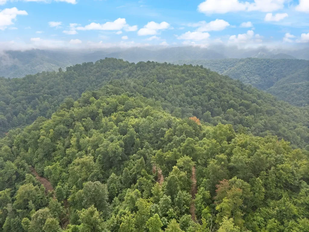 0 Hall Branch Road Topmost KY 41862