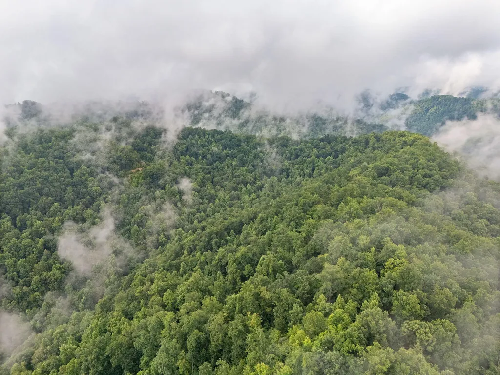 0 Hall Branch Road Topmost KY 41862
