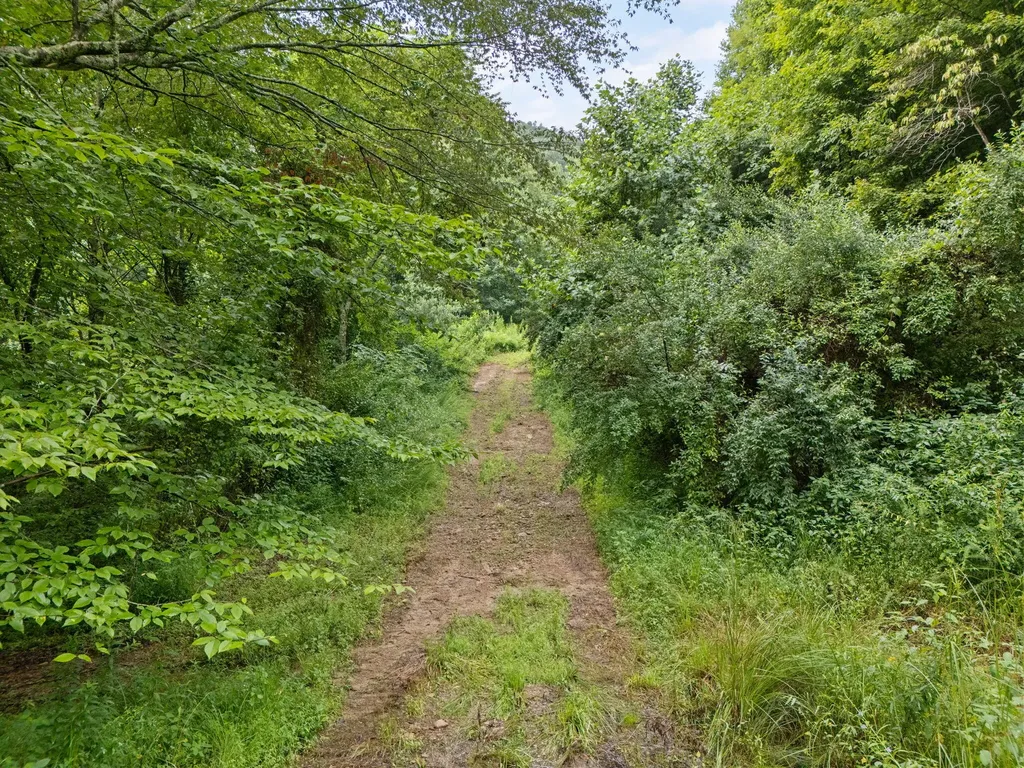0 Hall Branch Road Topmost KY 41862
