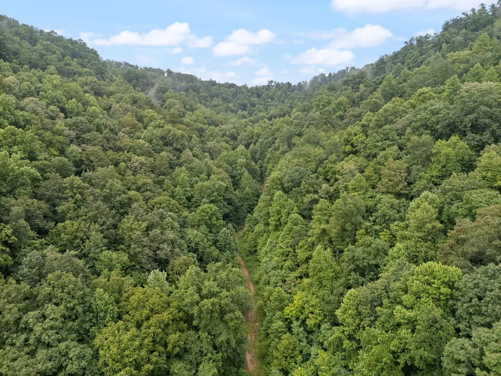 0 Hall Branch Road Topmost KY 41862