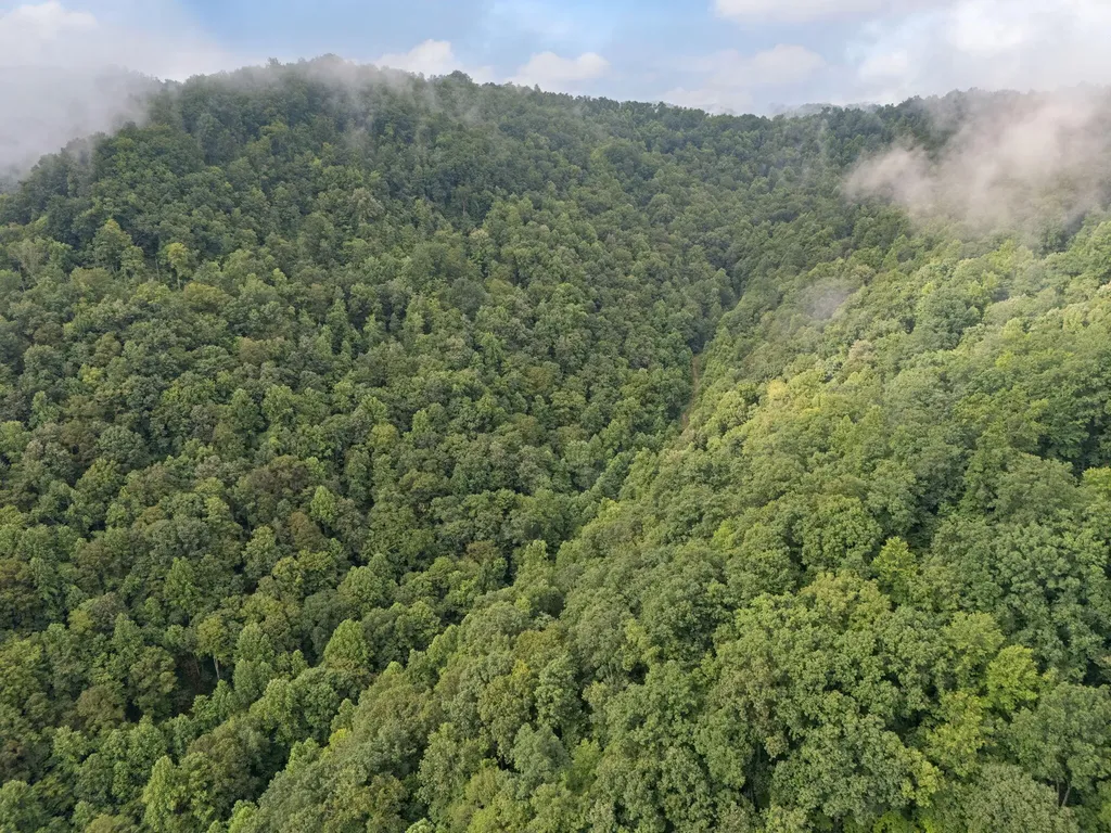 0 Hall Branch Road Topmost KY 41862