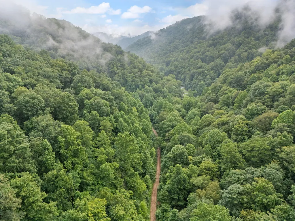 0 Hall Branch Road Topmost KY 41862