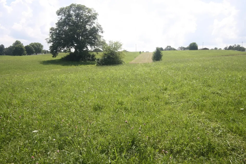 Farm State Highway 290 Mckee KY 40447
