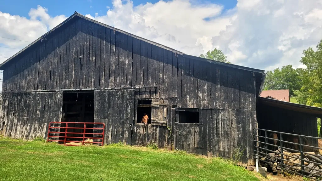 6758 Highway 1693 Wellington KY 40387