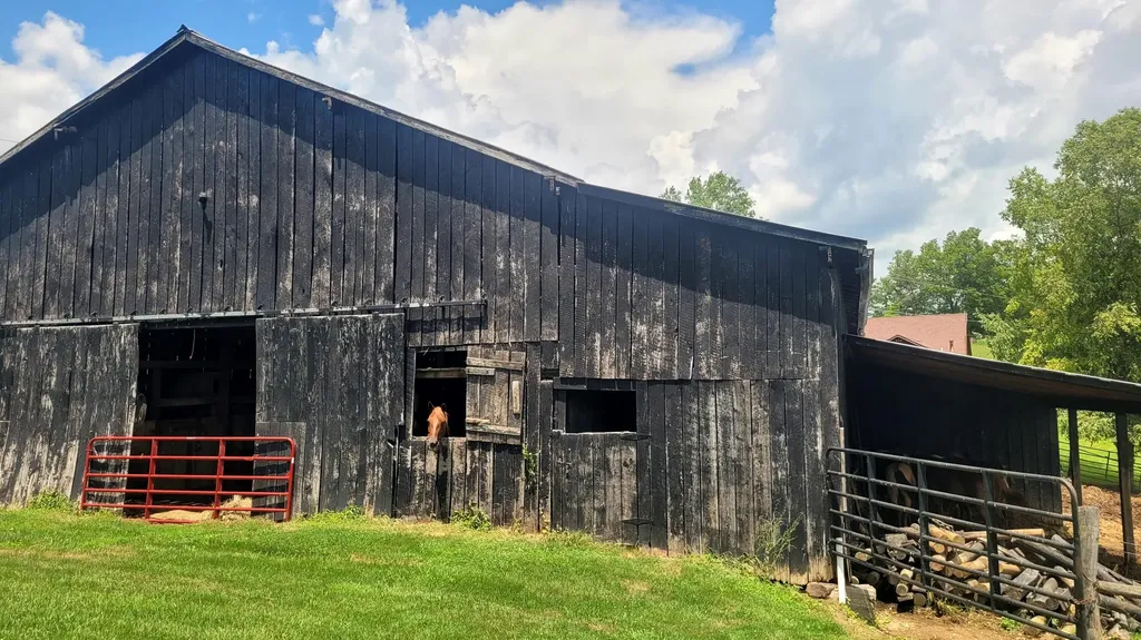 6758 Highway 1693 Wellington KY 40387