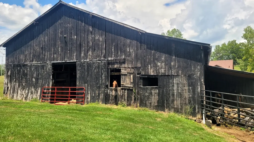 6758 Highway 1693 Wellington KY 40387