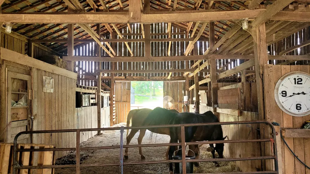 6758 Highway 1693 Wellington KY 40387
