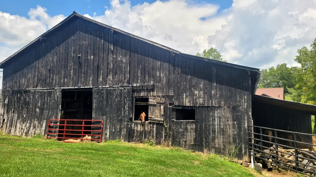 6758 Highway 1693 Wellington KY 40387