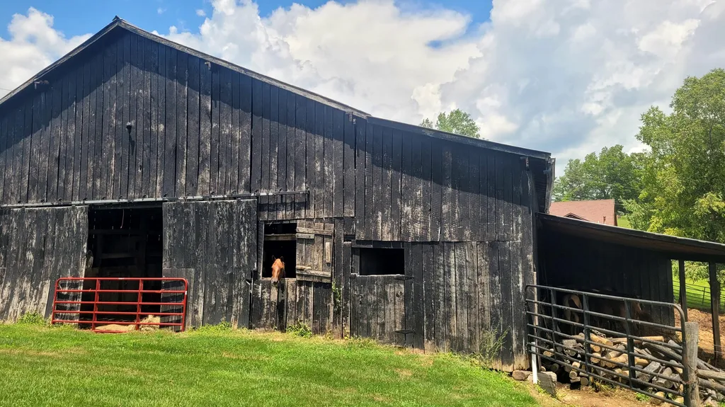 6758 Highway 1693 Wellington KY 40387
