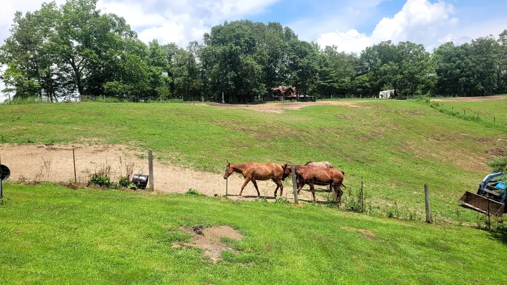 6758 Highway 1693 Wellington KY 40387
