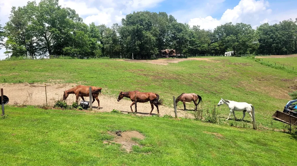 6758 Highway 1693 Wellington KY 40387