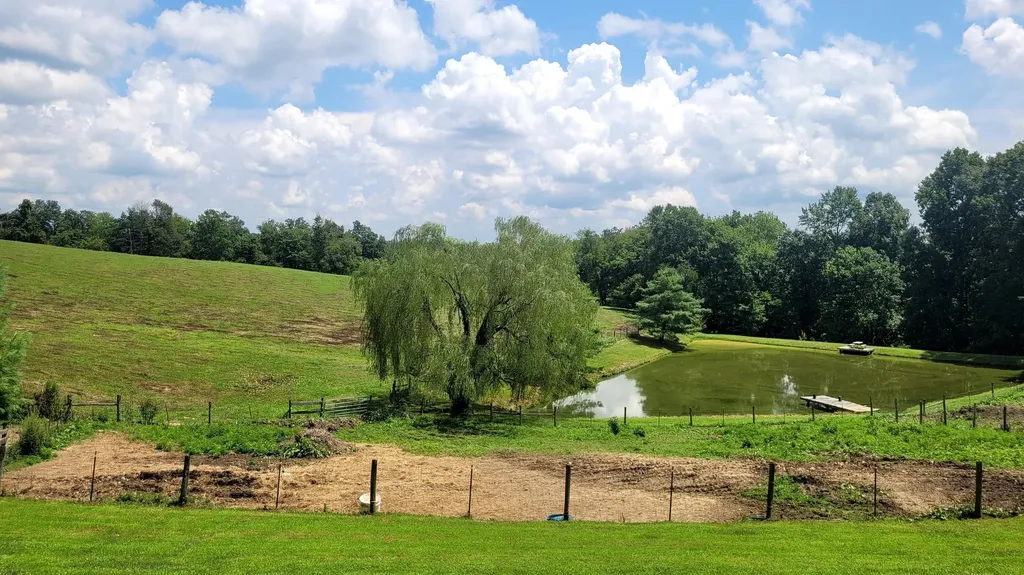 6758 Highway 1693 Wellington KY 40387