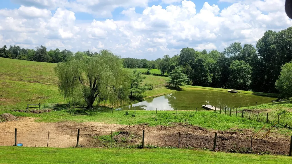 6758 Highway 1693 Wellington KY 40387