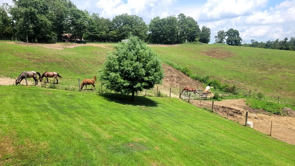 6758 Highway 1693 Wellington KY 40387