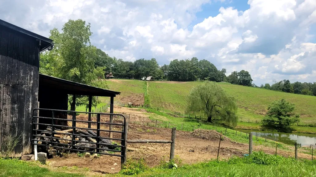 6758 Highway 1693 Wellington KY 40387